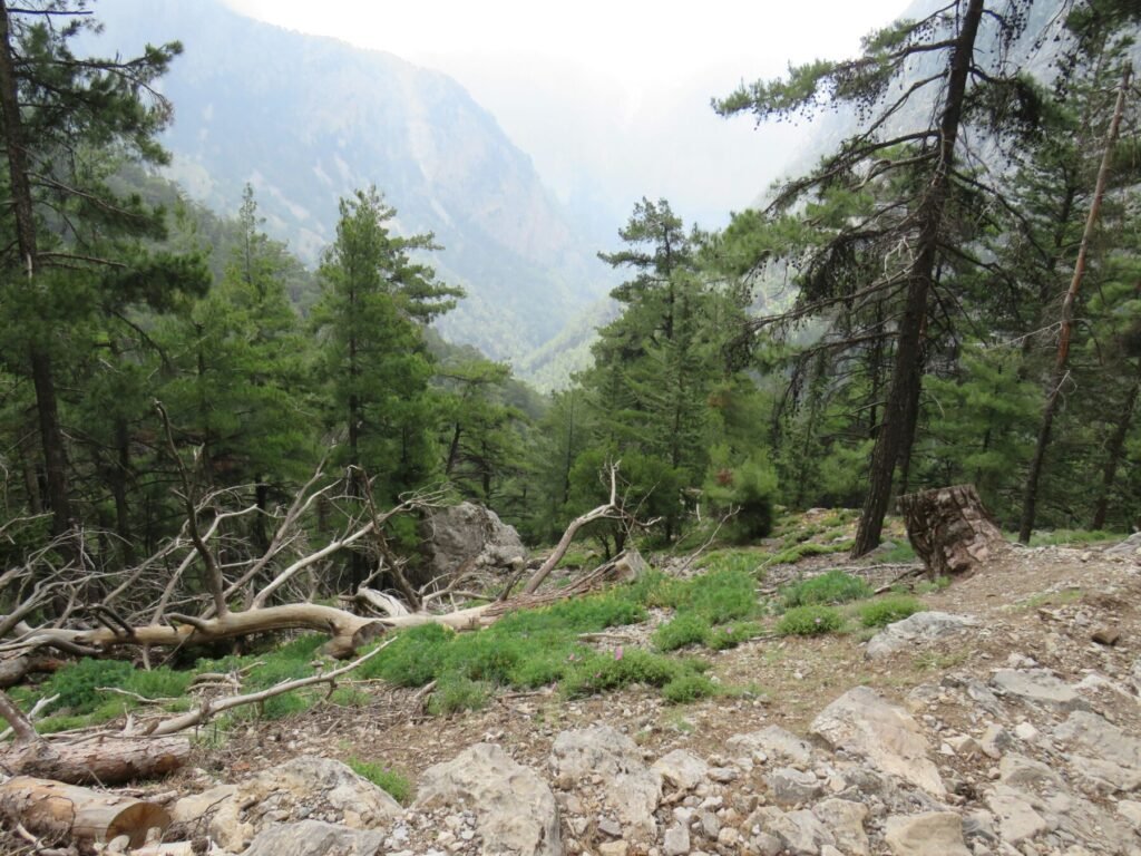 samaria gorge hd Chania Transfer by aquaholics transfer in chania