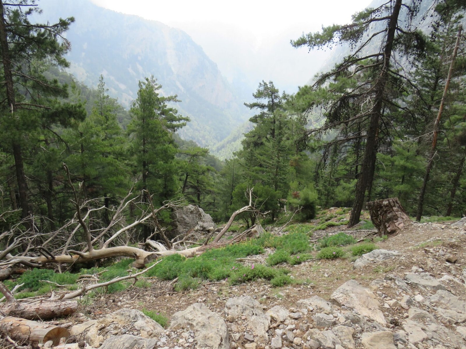 Chania Transfer by aquaholics transfer in chania